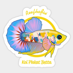 Koi Plakat Betta Sticker